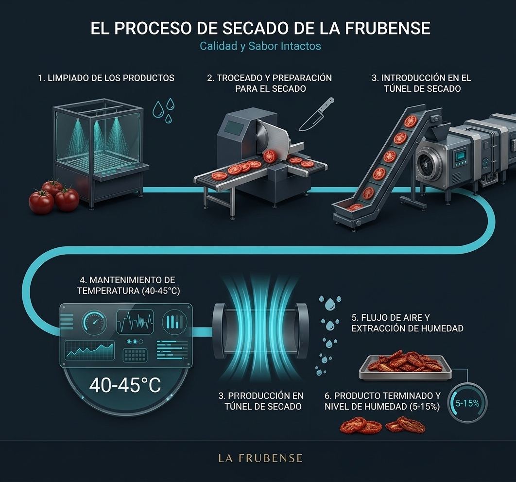 Infografía del proceso de secado de La Frubense: limpiado de los productos, troceado y preparación, introducción en el túnel de secado, mantenimiento de temperatura entre 40 y 45 grados, flujo de aire y extracción de humedad, y producto terminado con un nivel de humedad del 5 al 15 por ciento.